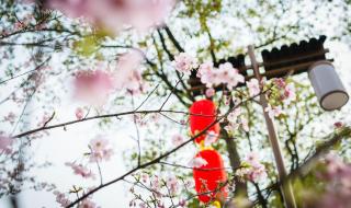 做人不要太老实 做人不要太老实