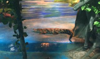 寿光蔬菜博览会门票 寿光蔬菜博览会门票