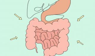 7月25日蚂蚁庄园答案