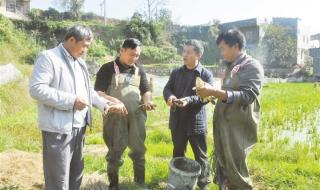 忠诚战士电视剧