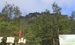 元旦免过路费吗 元旦免过路费吗