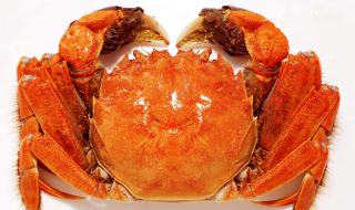 阳澄湖大闸蟹蟹卡