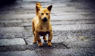 我还在原地等你 我还在原地等你