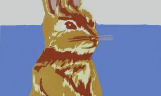 2023年属兔百年难遇 2023年属兔百年难遇