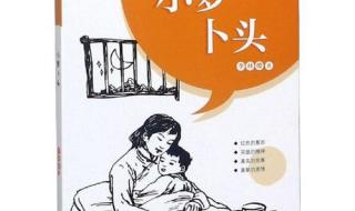 新华出版社 新华出版社