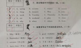 五年级期中考试卷