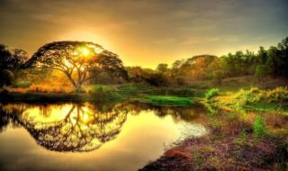 萨克斯多少钱一把