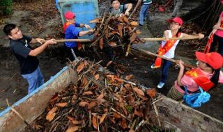 乡村小保安 乡村小保安