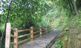 广州凤凰山森林公园