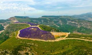 山东村庄出16名博士