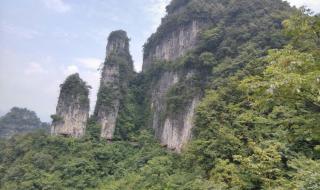 宜昌汽车站 宜昌汽车站