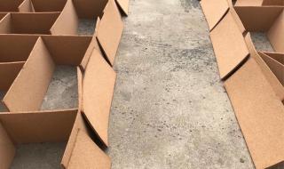 运动木地板厂家 运动木地板厂家