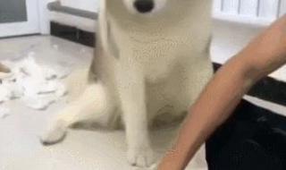 我是神经病 我是神经病