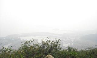 浙江钓鱼网 浙江钓鱼网