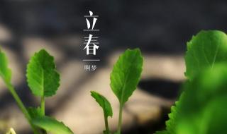 2023立春图片 2023立春图片