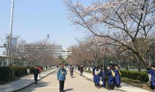 上海顾村公园门票 上海顾村公园门票