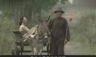 我的兄弟叫顺溜荷花