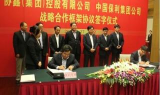 中国保利集团公司 中国保利集团公司