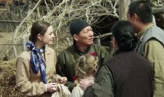 远去的飞鹰好看吗