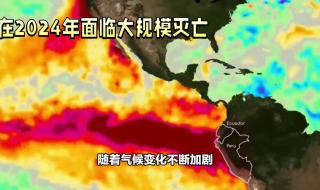 人类将在2024年灭亡