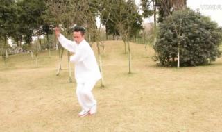 48式太极拳分解教学