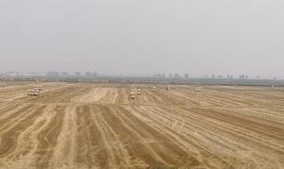 我爱过你笑的脸庞 我爱过你笑的脸庞