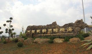 西双版纳嘎洒机场