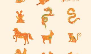 龙年太岁犯什么属相