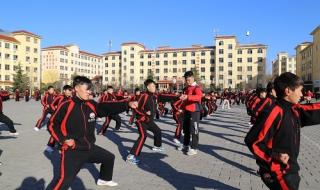 嵩山少林寺武术学院 嵩山少林寺武术学院