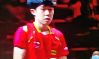 世界杯总决赛乒乓球 世界杯总决赛乒乓球