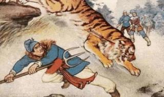 奥运会都有哪些项目 奥运会都有哪些项目