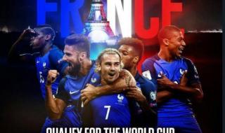 巴西vs法国2006世界杯